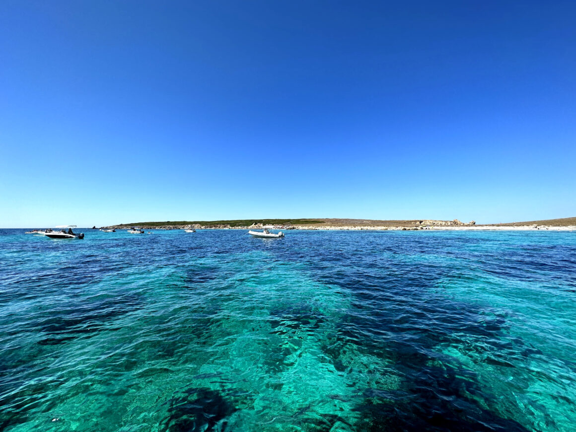 Isola di Mal di Ventre